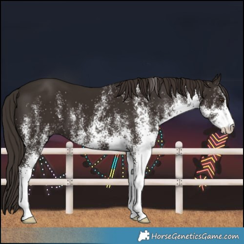 Horse Color:White Spotted Liver Chestnut 