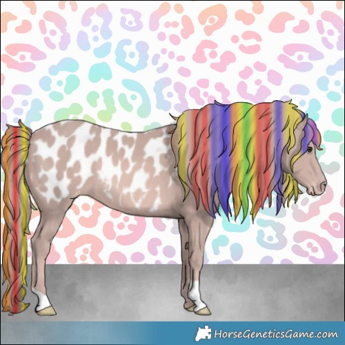 Horse Color:Platinum Painted Chestnut Appaloosa