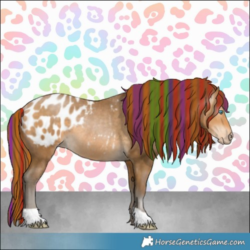 Horse Color:Gray Painted Buckskin Pearl Appaloosa Rabicano 