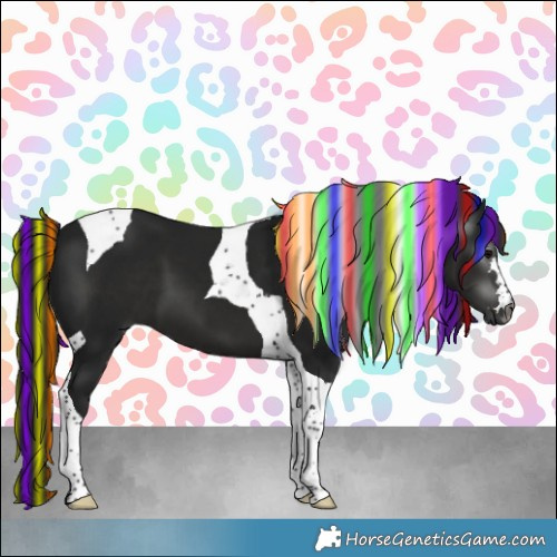 Horse Color:Gray Painted Black Tobiano 