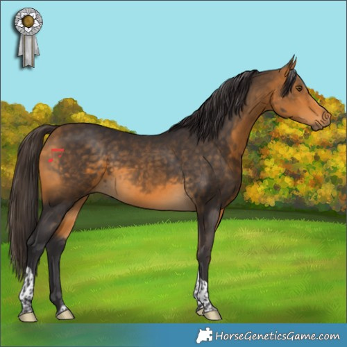 Horse Color:Buckskin Tobiano 