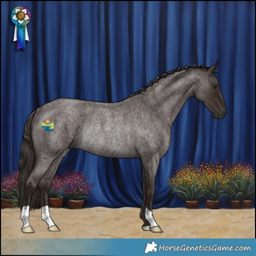 Horse Color:Liver Red Roan Rabicano 