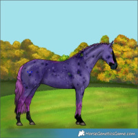 Horse Color:ERROR: UNKNOWN ANOMALY