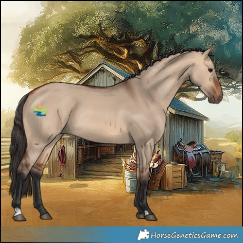 Horse Color:Bay Dun Rabicano 