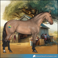 Horse Color:Bay Dun Rabicano 