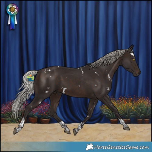 Horse Color:White Spotted Silver Brown Tobiano 