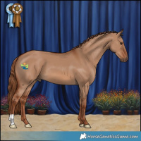 Horse Color:Red Dun 