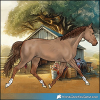 Horse Color:Red Dun
