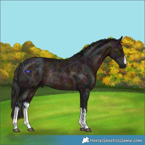 Horse Color:White Spotted Midnight Brown Ice Rabicano 