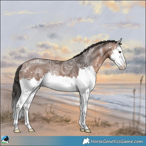 Horse Color:White Spotted Bay Ice Mushroom Splash