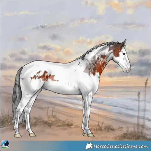 Horse Color:White Spotted Brown Mushroom Splash Tobiano 