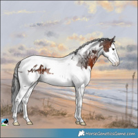 Horse Color:White Spotted Brown Mushroom Splash Tobiano 