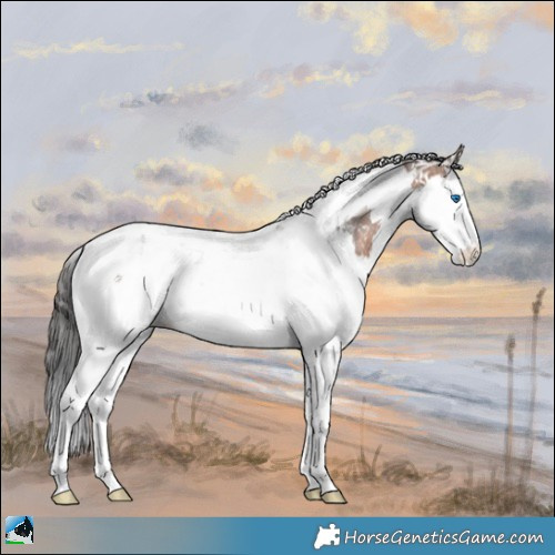 Horse Color:White Spotted Bay Ice Mushroom Splash Tobiano Rabicano