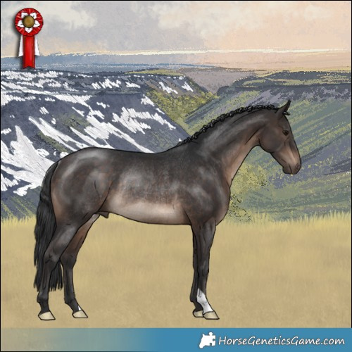 Horse Color:Brown Rabicano 