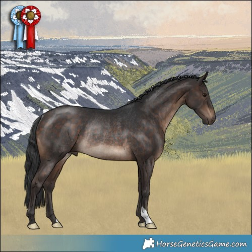Horse Color:Brown Rabicano 