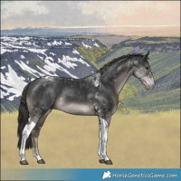 Horse Color:Platinum Liver Chestnut Tobiano Rabicano 
