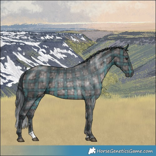 Horse Color:Platinum Plaid Brown Rabicano