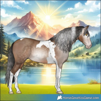Horse Color:Gray Amber Champagne Tobiano 