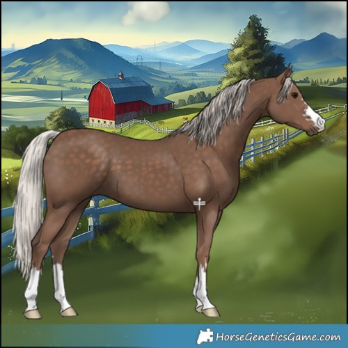 Horse Color:Silver Black 