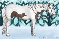 Horse Color:Silver Black Splash Tobiano 