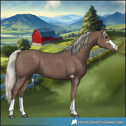 Horse Color:Silver Black 