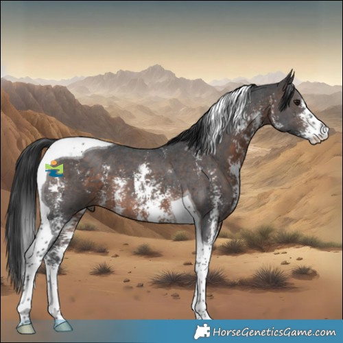 Horse Color:Brown Sabino Tobiano 