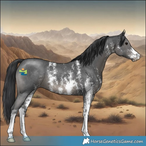 Horse Color:Black Sabino 