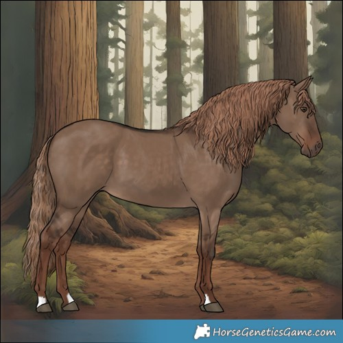 Horse Color:Liver Red Dun 