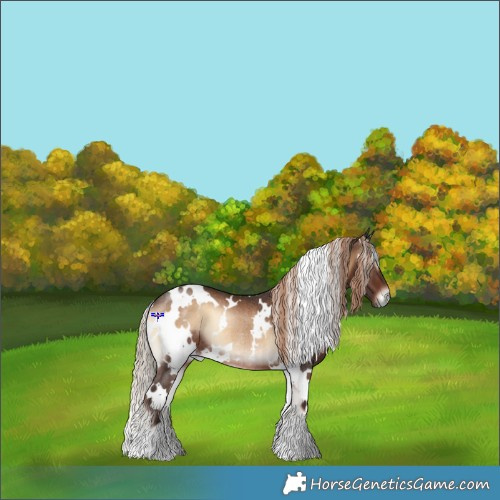 Horse Color:White Spotted Liver Red Onyx Rabicano 