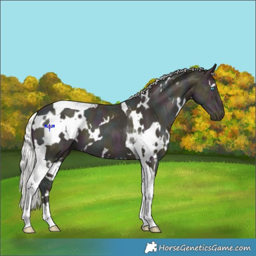 Horse Color:White Spotted Midnight Silver Smoky Black Ice Pearl Tobiano 