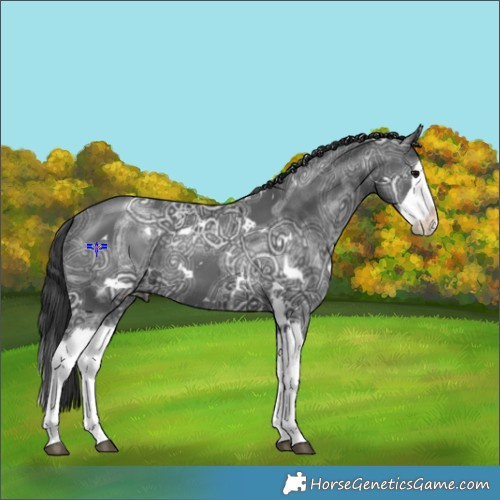 Horse Color:White Spotted Black Ice Splash Rabicano 