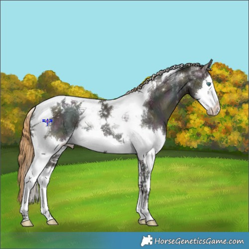 Horse Color:Midnight Smoky Black Ice Pearl Mushroom Splash Tobiano Rabicano 