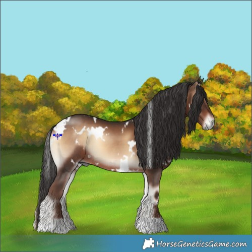 Horse Color:White Spotted Liver Red Onyx 