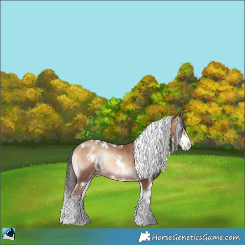 Horse Color:White Spotted Sable Champagne Onyx Sabino Rabicano 