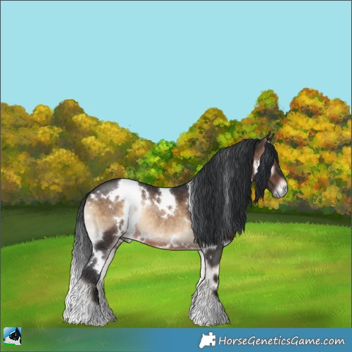 Horse Color:White Spotted Brown Onyx Rabicano 