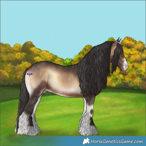 Horse Color:Bay Onyx Sabino Rabicano 