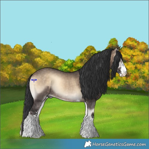 Horse Color:Brown Onyx Sabino Rabicano 
