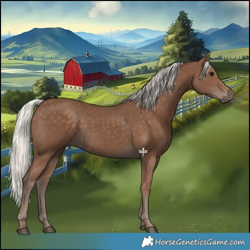 Horse Color:Silver Black 