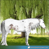 Horse Color:White Spotted Brown Ice Splash Tobiano 