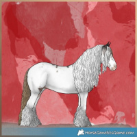 Horse Color:Liver Chestnut Tobiano Frame Appaloosa