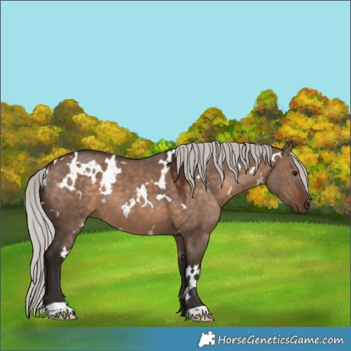 Horse Color:White Spotted Silver Brown Dun 