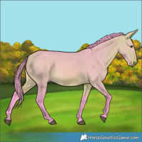 Horse Color:Watercolor Buckskin Dun Rabicano