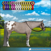Horse Color:Liver Red Dun Varnish Brindle 
