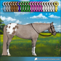 Horse Color:Liver Red Dun Varnish Brindle 