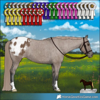 Horse Color:Liver Red Dun Varnish Brindle 