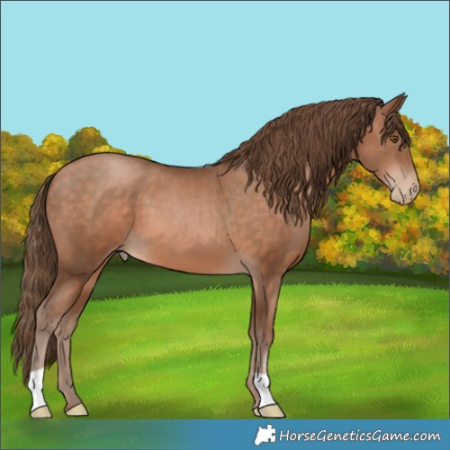 Horse Color:Brown Pearl 