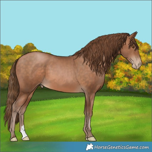 Horse Color:Brown Pearl 