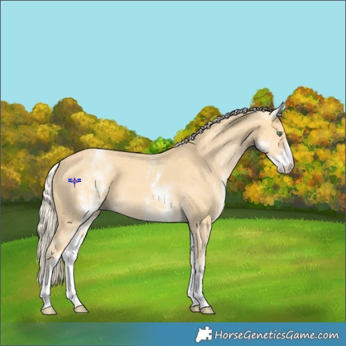 Horse Color:White Spotted Gold Cream Champagne 