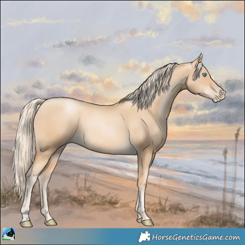 Horse Color:Gold Cream Champagne Pearl 