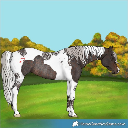Horse Color:Silver Brown Tobiano Rabicano 